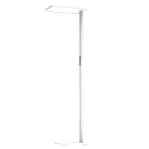 Dalen Streetlight F5 Pro
